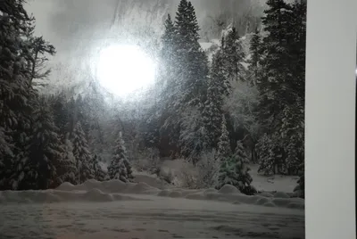 DSC_0055 (Large).JPG